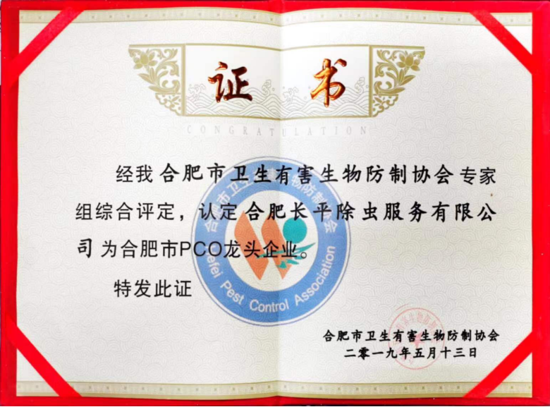 2019 年合肥市 PCO 龙头企业荣誉证书